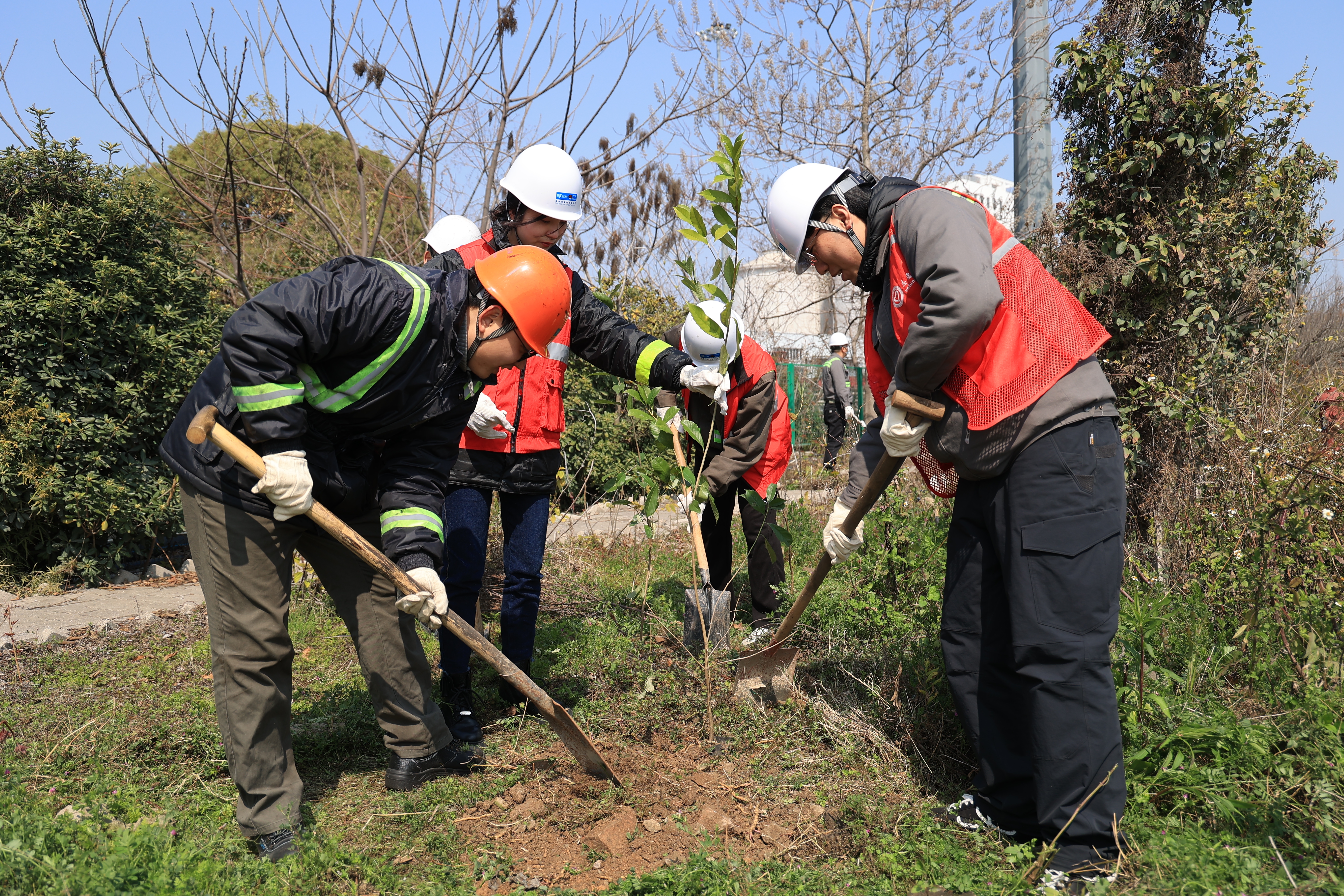 春风添新绿 美化焕新颜 —— 金洋公司开展港区春季绿化美化志愿行动