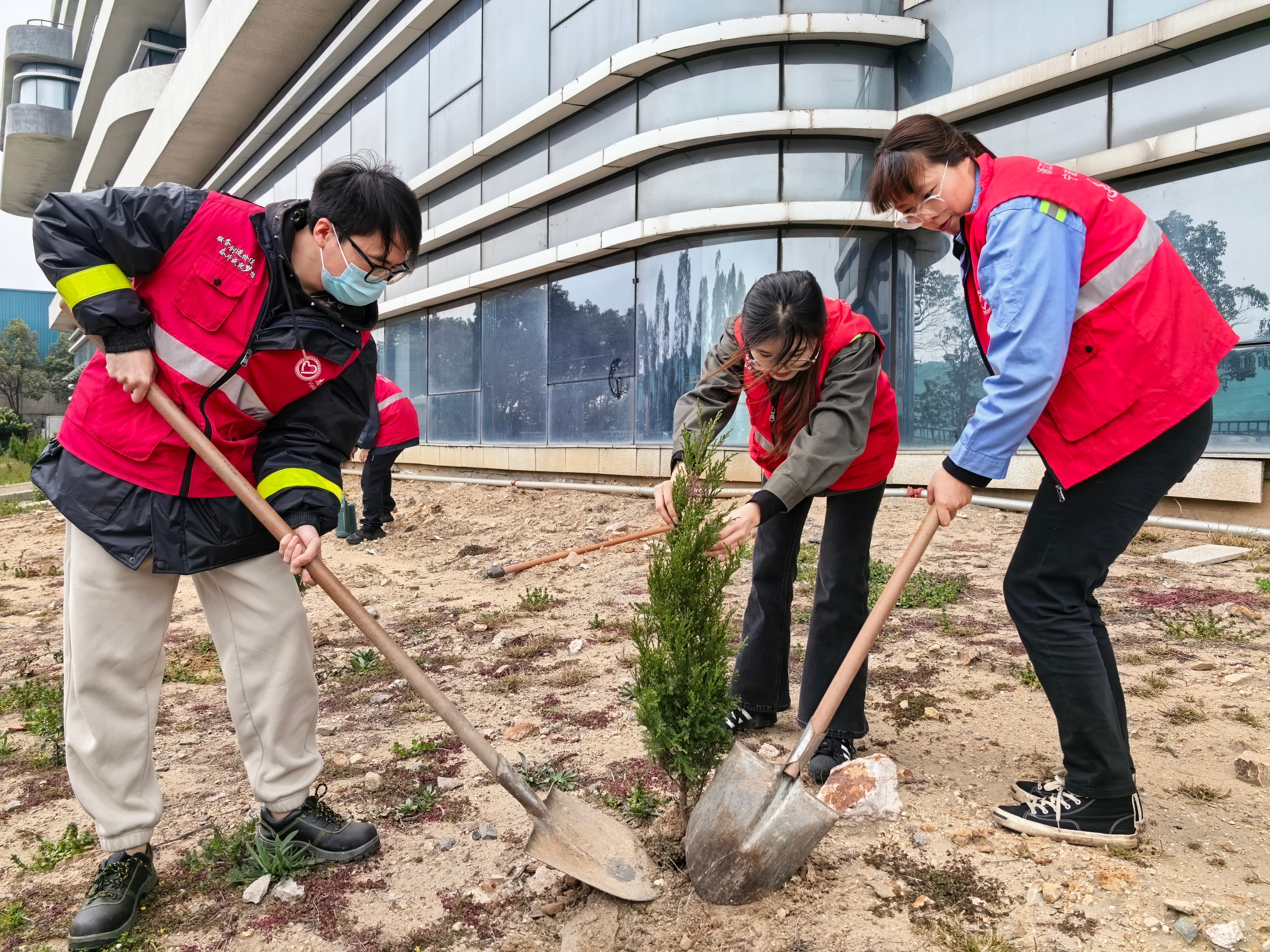 乐清湾公司开展港区绿化环境清洁志愿活动